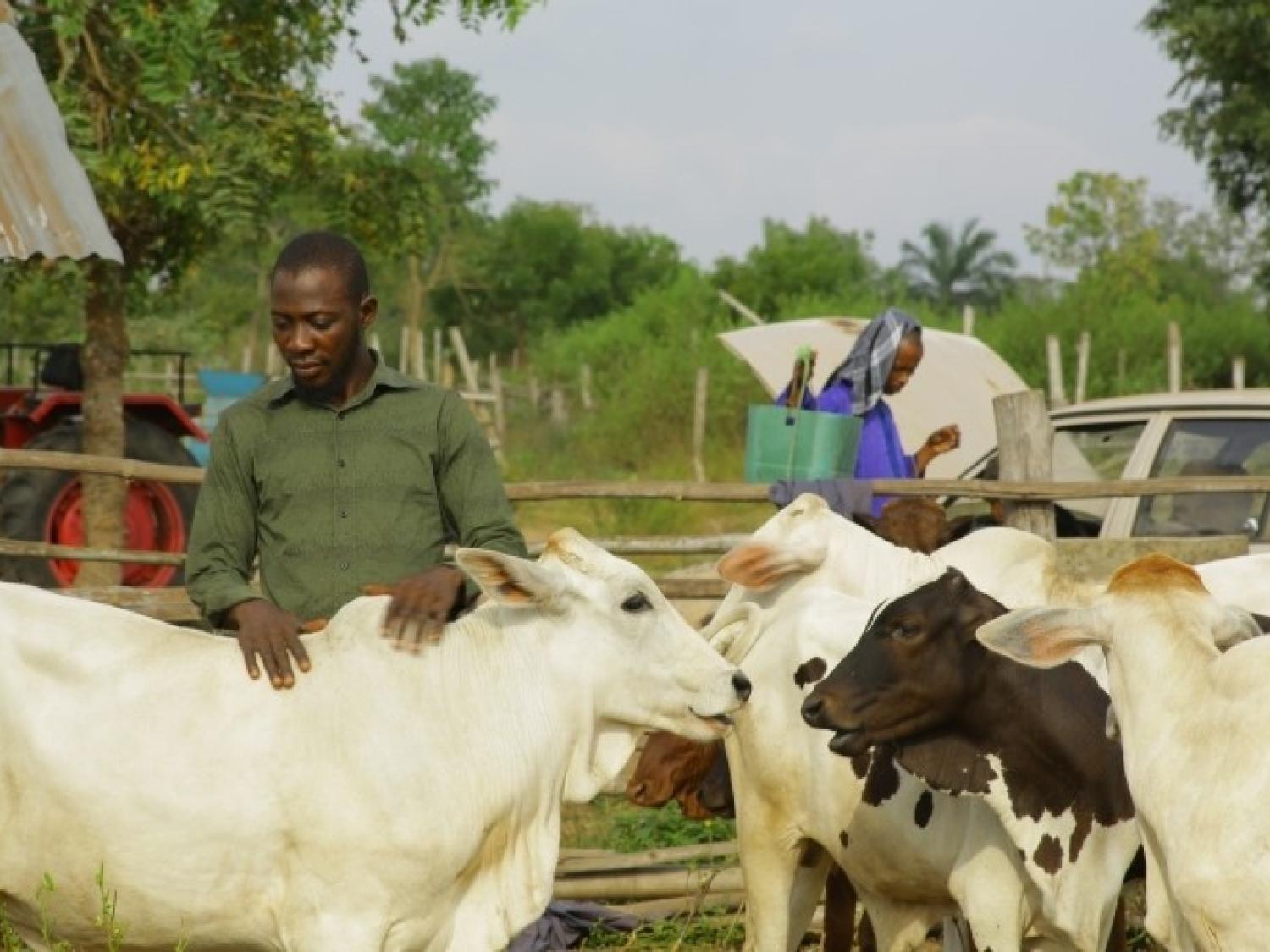 Dairy Development 