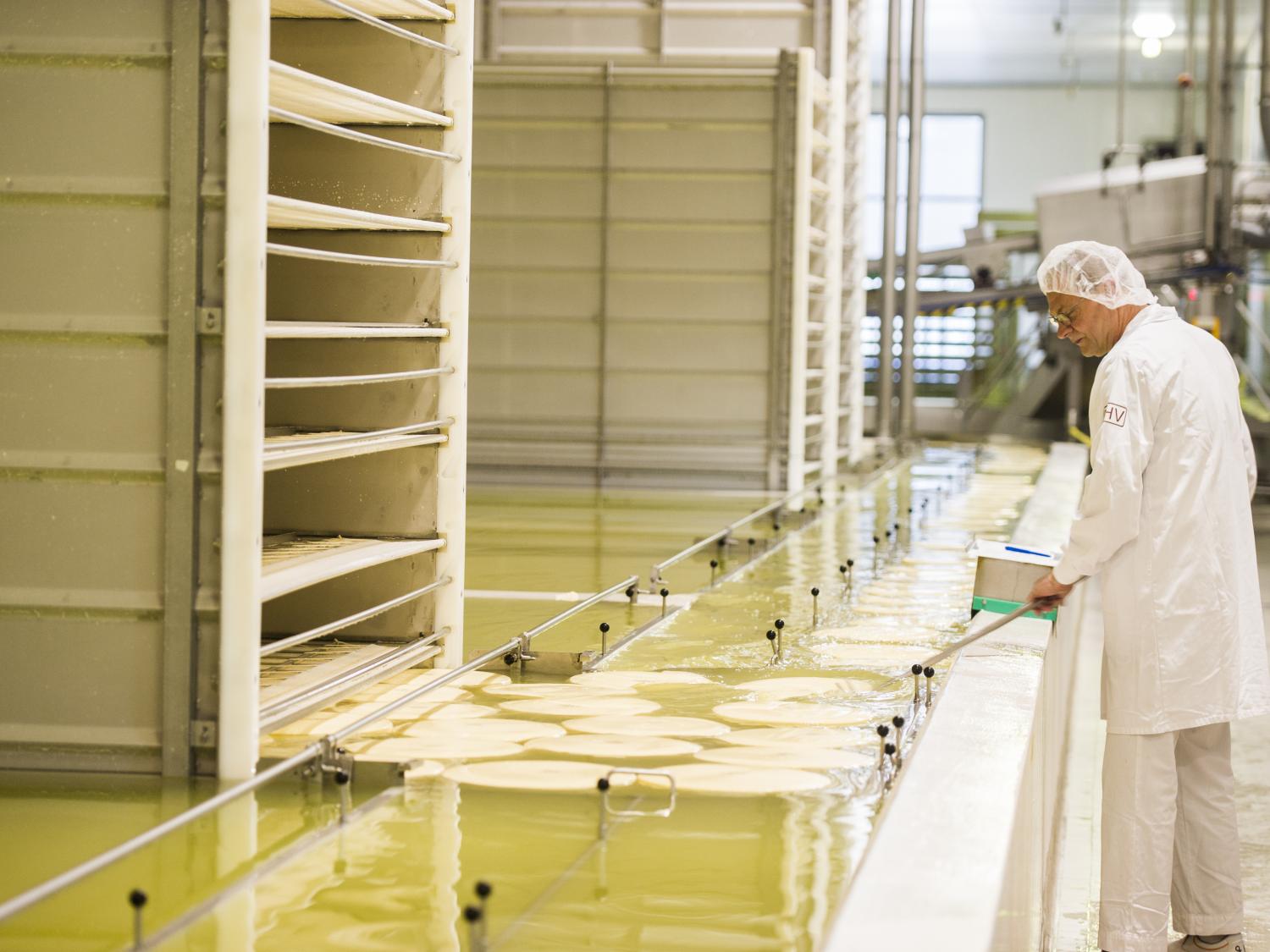 Cheese factory in the Netherlands
